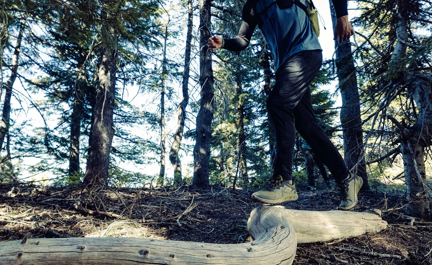 Keen Men's Zionic NXT Waterproof Hiking Shoe | Martini Olive/Lemon Curry 7 Keen Men's Zionic NXT Waterproof Hiking Shoe | Martini Olive/Lemon Curry - Image 7