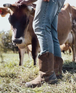 Keen Men's Evanston Pull-On Waterproof Boot (Soft Toe) | Bison/Black -Fresh Shoes Shop S25 Evanston Pull On 1030489 PDP LEFT 1