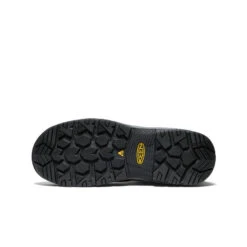 Keen Men's Evanston 6" Waterproof Boot INT MET (Carbon Toe) | Bison/Black -Fresh Shoes Shop b8b31fd681043ac1fbef241e0622f6691b98d8c8